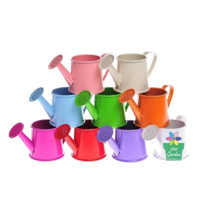 Wholesale custom promotional small mini cute tin galvanized watering can